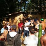 -2016-08-28-PHOTO-00000841